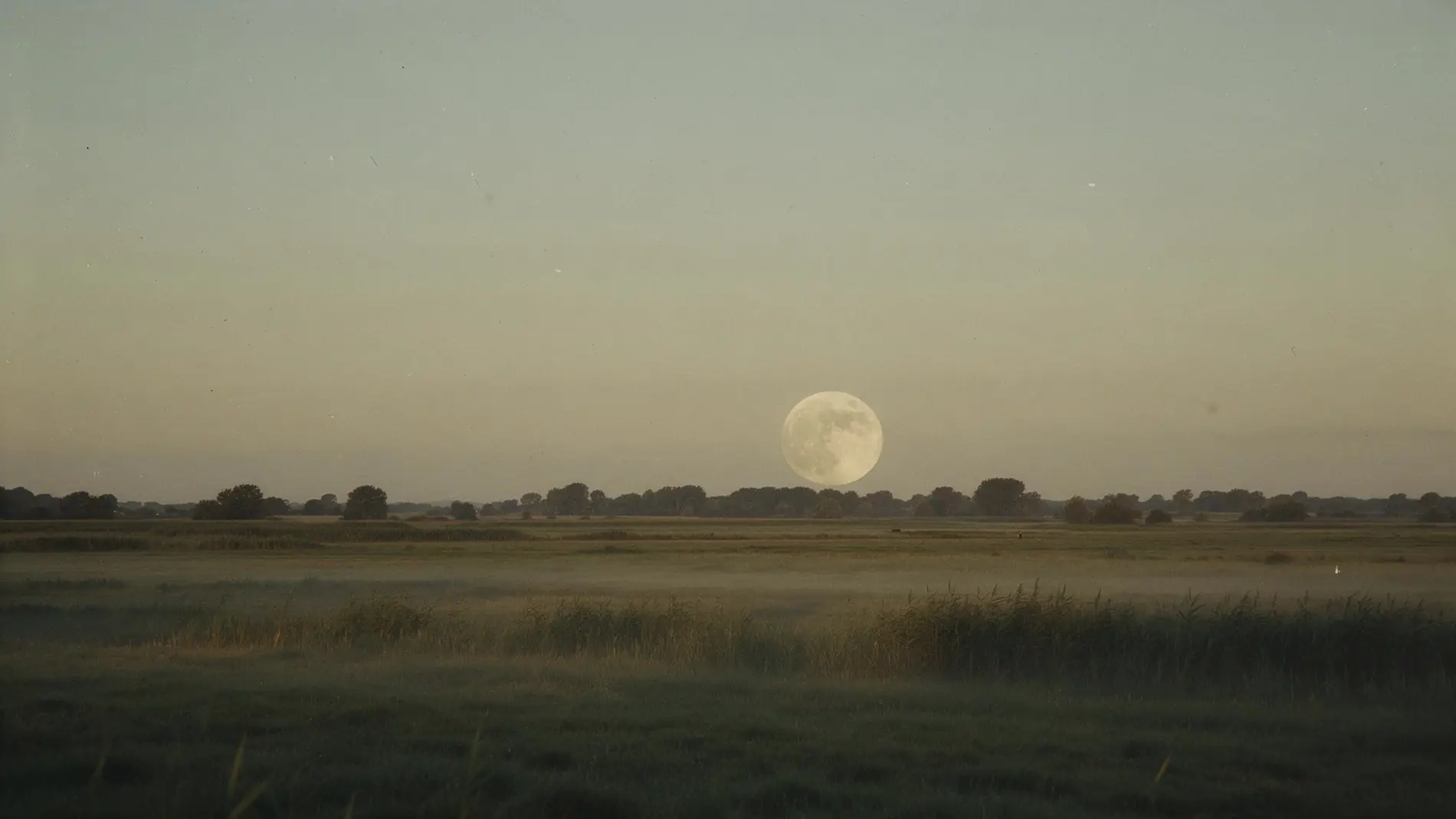 Vollmond tief über einer offenen Wiesenlandschaft mit Bodennebel in der Dämmerung.